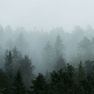 Meet your Posher, Kiara